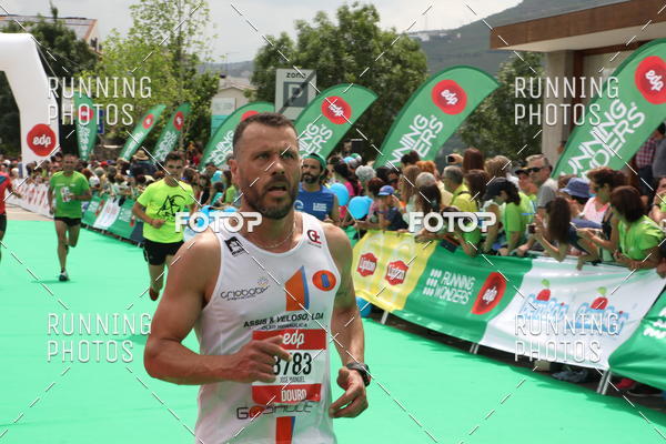 Buy your photos of the eventMeia Maratona Douro 2017 on Fotop