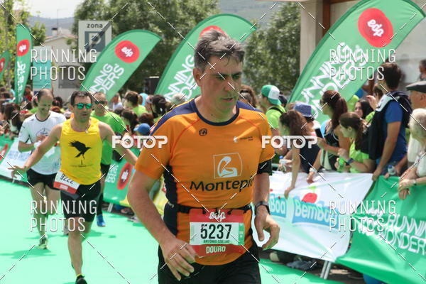 Buy your photos of the eventMeia Maratona Douro 2017 on Fotop