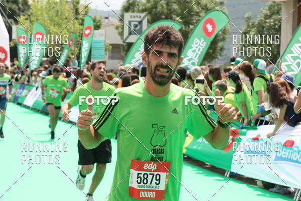 Buy your photos of the eventMeia Maratona Douro 2017 on Fotop