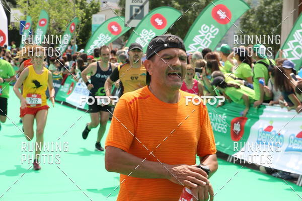 Buy your photos of the eventMeia Maratona Douro 2017 on Fotop
