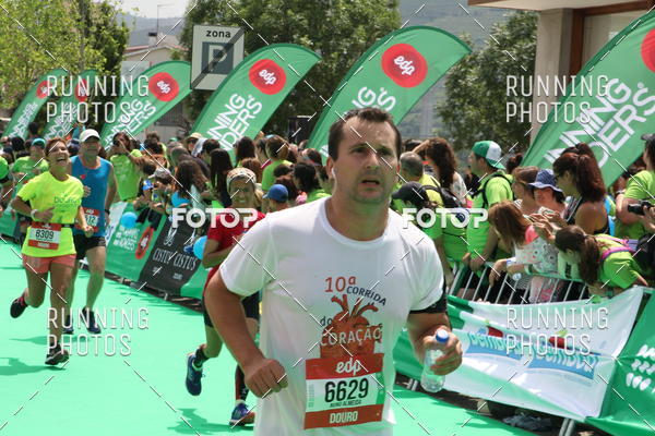 Buy your photos of the eventMeia Maratona Douro 2017 on Fotop