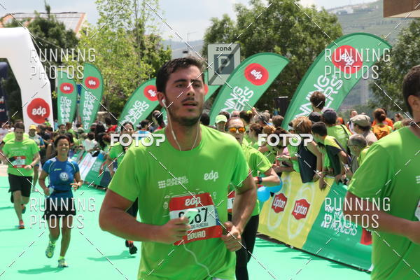 Buy your photos of the eventMeia Maratona Douro 2017 on Fotop