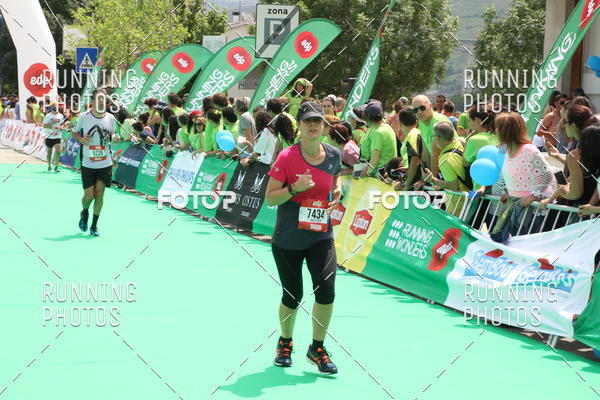 Buy your photos of the eventMeia Maratona Douro 2017 on Fotop