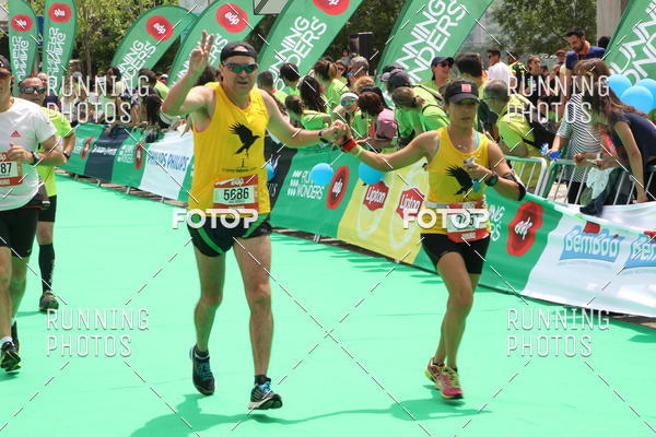 Buy your photos of the eventMeia Maratona Douro 2017 on Fotop
