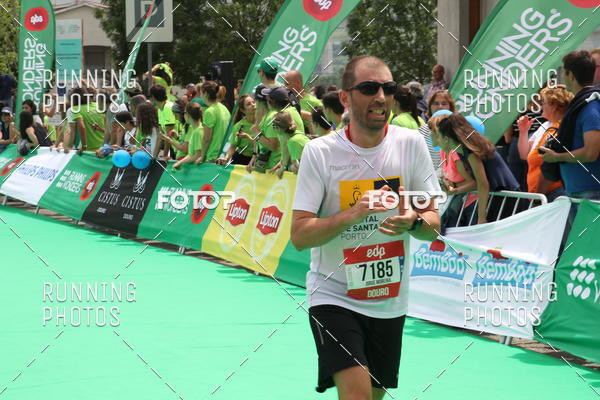 Buy your photos of the eventMeia Maratona Douro 2017 on Fotop