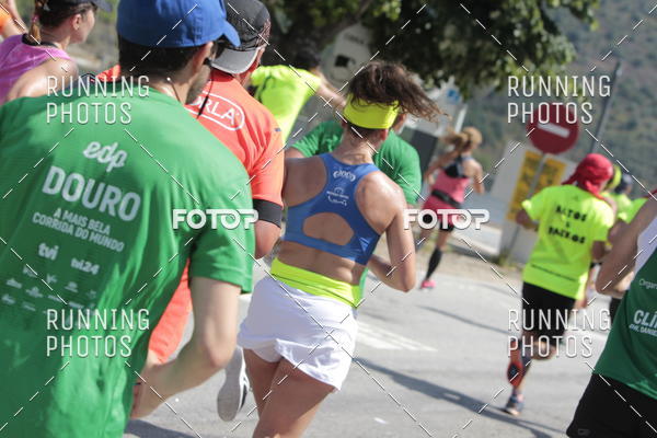 Buy your photos of the eventMeia Maratona Douro 2018 on Fotop