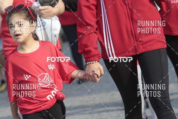 Buy your photos of the eventMeia Maratona Douro 2018 on Fotop