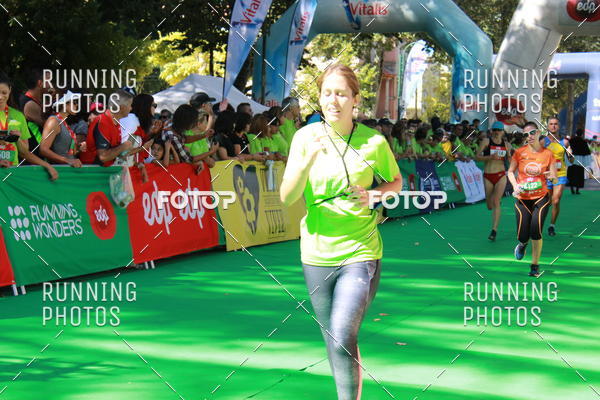 Buy your photos of the eventMeia Maratona Do 2017 on Fotop