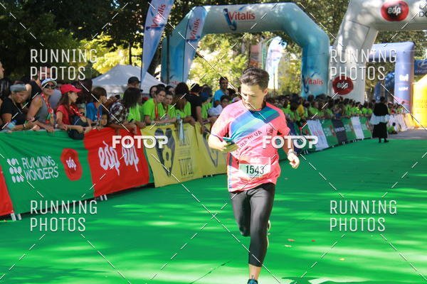 Buy your photos of the eventMeia Maratona Do 2017 on Fotop