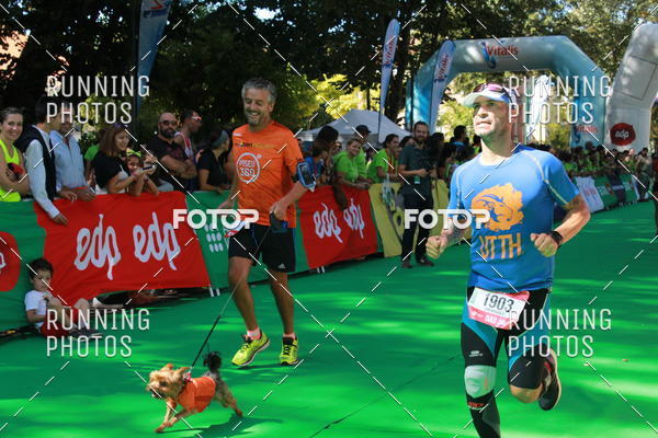 Buy your photos of the eventMeia Maratona Do 2017 on Fotop