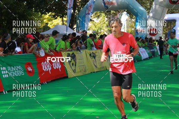 Buy your photos of the eventMeia Maratona Do 2017 on Fotop