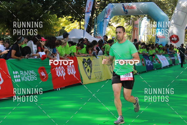 Buy your photos of the eventMeia Maratona Do 2017 on Fotop