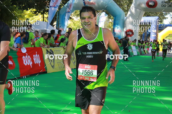 Buy your photos of the eventMeia Maratona Do 2017 on Fotop