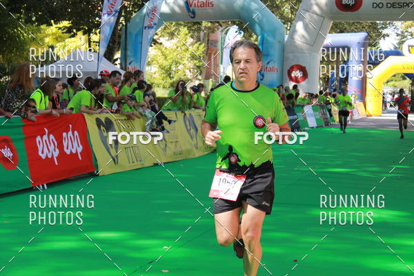 Buy your photos of the eventMeia Maratona Do 2017 on Fotop