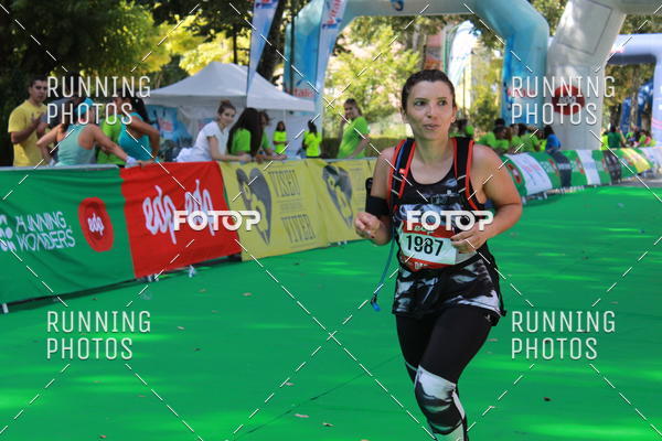 Buy your photos of the eventMeia Maratona Do 2017 on Fotop