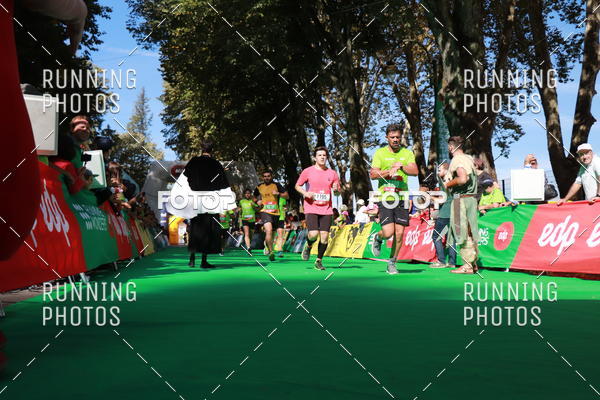 Buy your photos of the eventMeia Maratona Do 2017 on Fotop