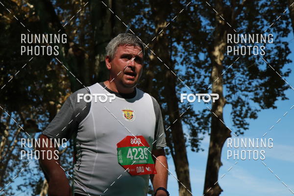 Buy your photos of the eventMeia Maratona Do 2017 on Fotop