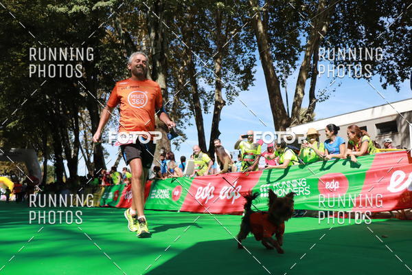 Buy your photos of the eventMeia Maratona Do 2017 on Fotop