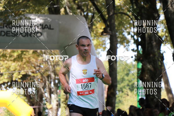 Buy your photos of the eventMeia Maratona Do 2017 on Fotop