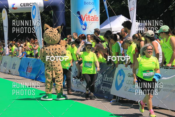 Buy your photos of the eventMeia Maratona Guimares 2016 on Fotop