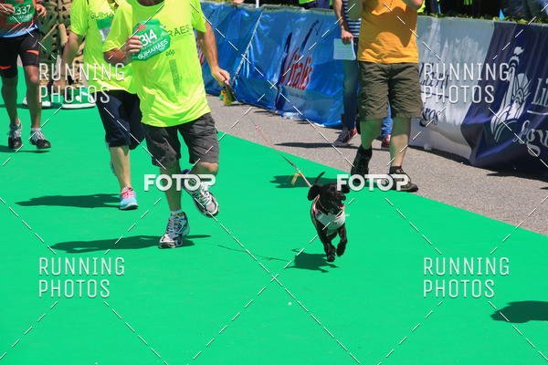 Buy your photos of the eventMeia Maratona Guimares 2016 on Fotop