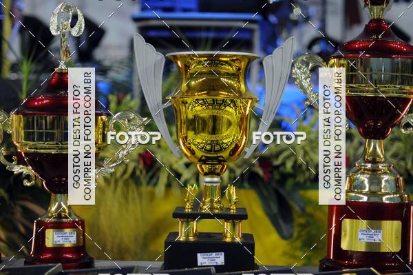 Buy your photos of the eventCONERF 2018 on Fotop