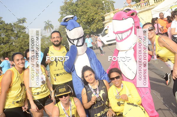Buy your photos of the eventCorrida e Caminhada Quer Namorar Comigo on Fotop