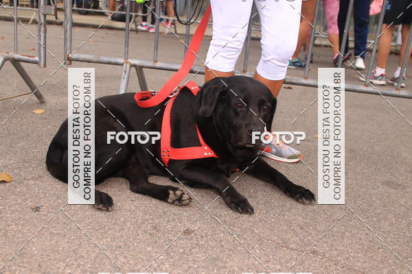 Buy your photos of the eventCorrida e Caminhada Quer Namorar Comigo on Fotop