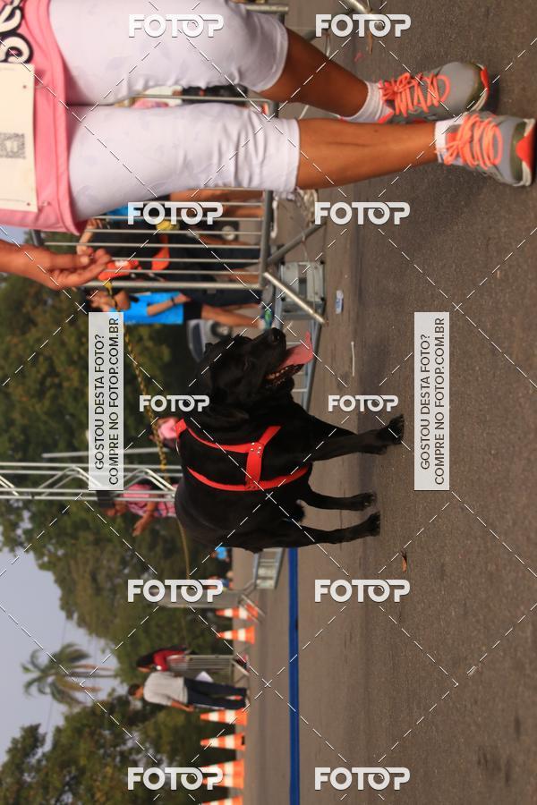 Buy your photos of the eventCorrida e Caminhada Quer Namorar Comigo on Fotop