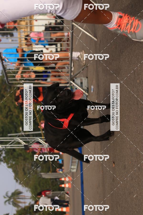 Buy your photos of the eventCorrida e Caminhada Quer Namorar Comigo on Fotop