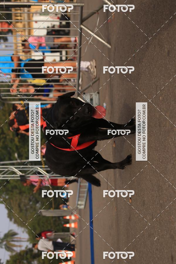 Buy your photos of the eventCorrida e Caminhada Quer Namorar Comigo on Fotop