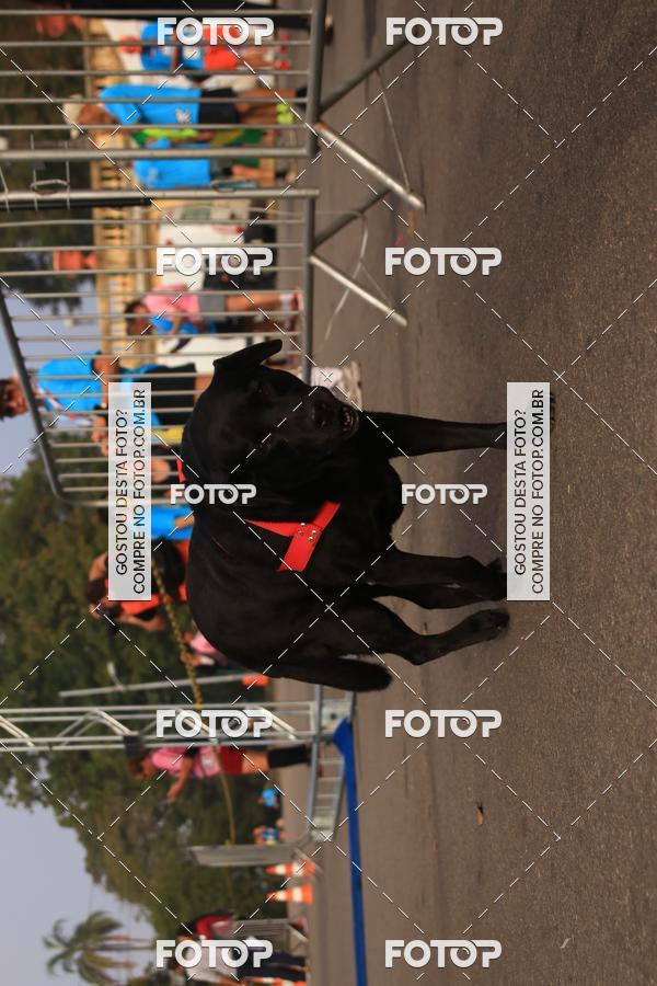 Buy your photos of the eventCorrida e Caminhada Quer Namorar Comigo on Fotop
