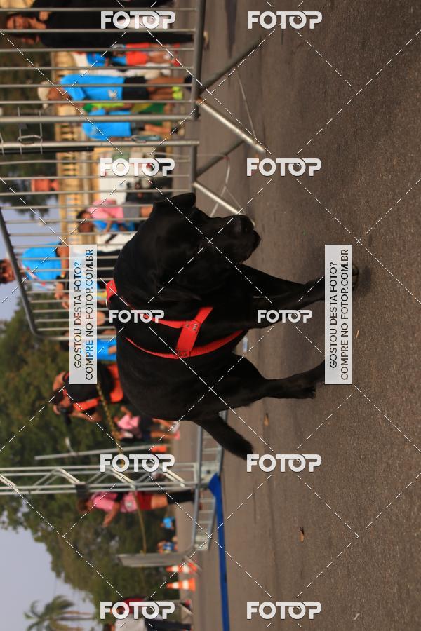 Buy your photos of the eventCorrida e Caminhada Quer Namorar Comigo on Fotop