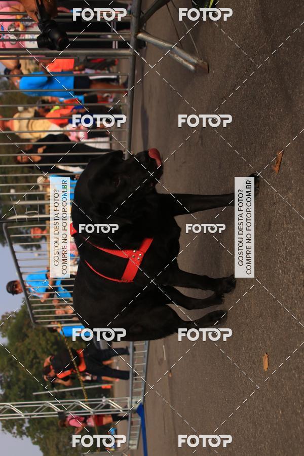 Buy your photos of the eventCorrida e Caminhada Quer Namorar Comigo on Fotop