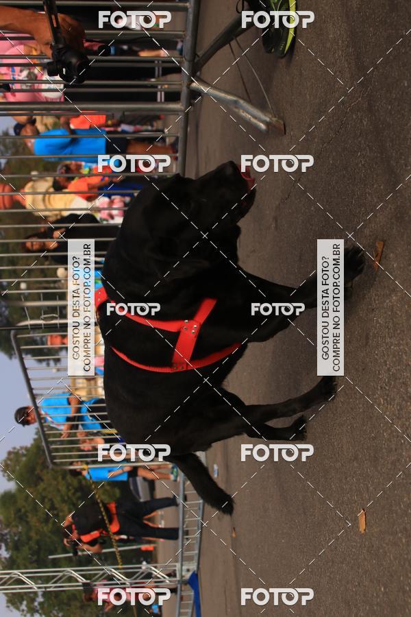 Buy your photos of the eventCorrida e Caminhada Quer Namorar Comigo on Fotop