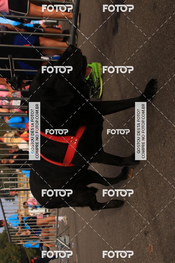 Buy your photos of the eventCorrida e Caminhada Quer Namorar Comigo on Fotop