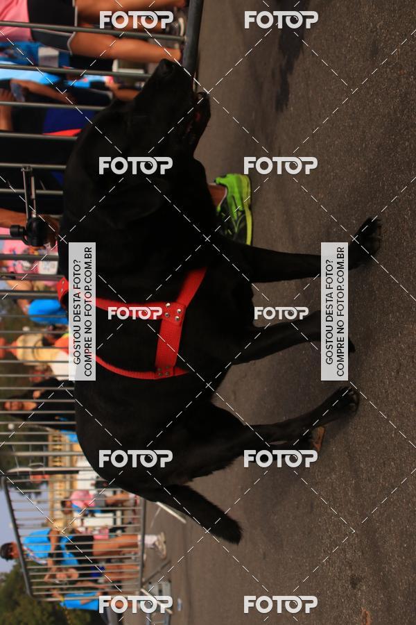 Buy your photos of the eventCorrida e Caminhada Quer Namorar Comigo on Fotop
