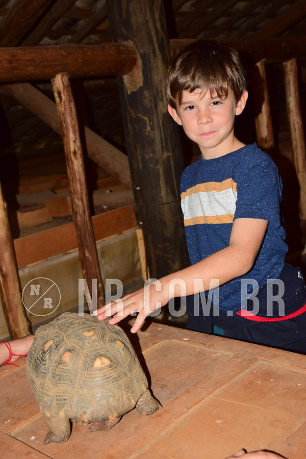 Buy your photos of the eventNR1- English e Action 05 a 08/06/18 on Fotop