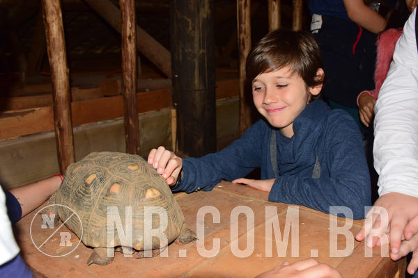 Buy your photos of the eventNR1- English e Action 05 a 08/06/18 on Fotop