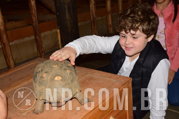 Buy your photos of the eventNR1- English e Action 05 a 08/06/18 on Fotop