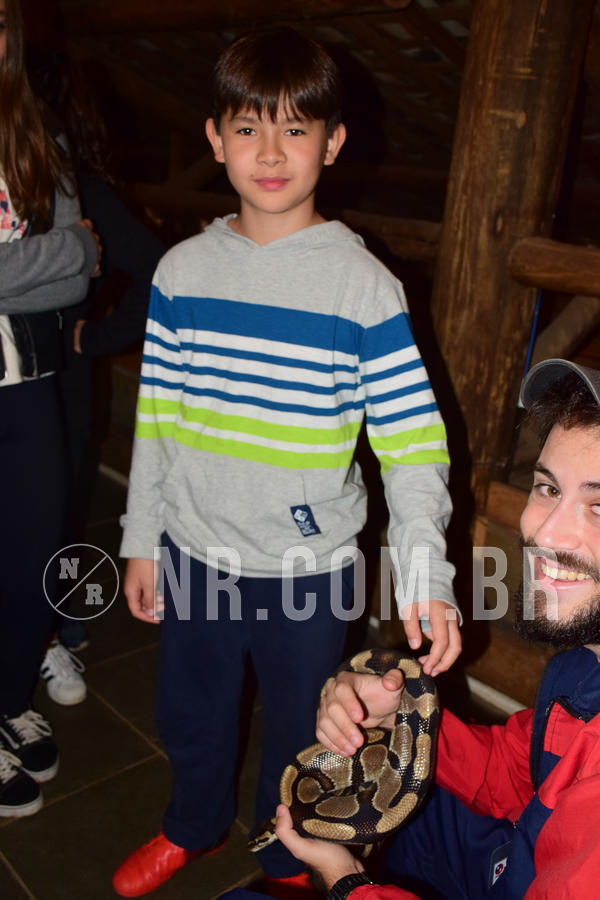 Buy your photos of the eventNR1- English e Action 05 a 08/06/18 on Fotop