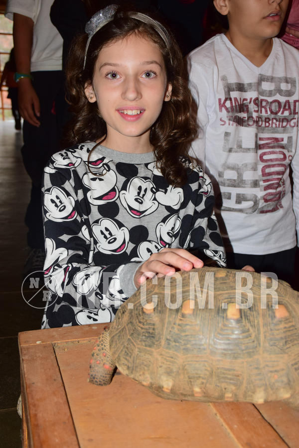 Buy your photos of the eventNR1- English e Action 05 a 08/06/18 on Fotop