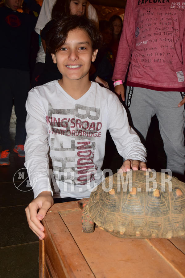 Buy your photos of the eventNR1- English e Action 05 a 08/06/18 on Fotop