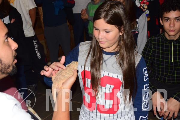 Buy your photos of the eventNR1- English e Action 05 a 08/06/18 on Fotop