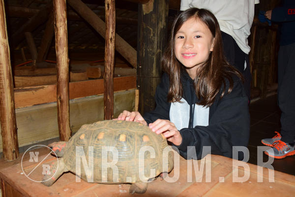 Buy your photos of the eventNR1- English e Action 05 a 08/06/18 on Fotop