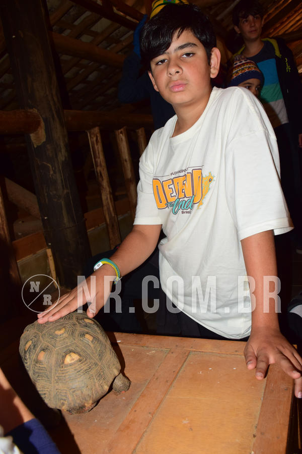 Buy your photos of the eventNR1- English e Action 05 a 08/06/18 on Fotop