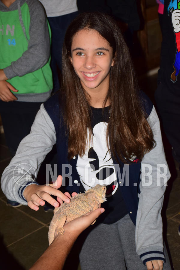 Buy your photos of the eventNR1- English e Action 05 a 08/06/18 on Fotop