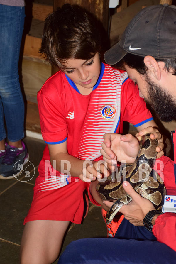 Buy your photos of the eventNR1- English e Action 05 a 08/06/18 on Fotop