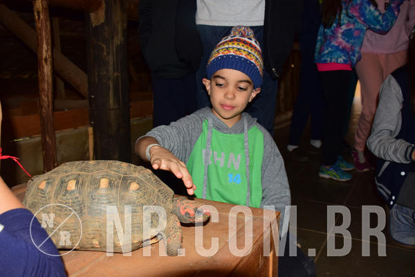 Buy your photos of the eventNR1- English e Action 05 a 08/06/18 on Fotop