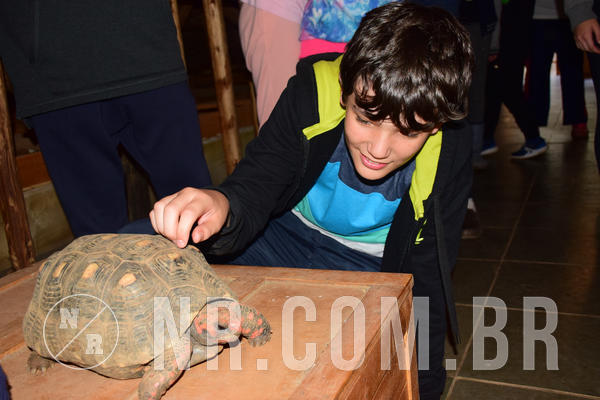 Buy your photos of the eventNR1- English e Action 05 a 08/06/18 on Fotop